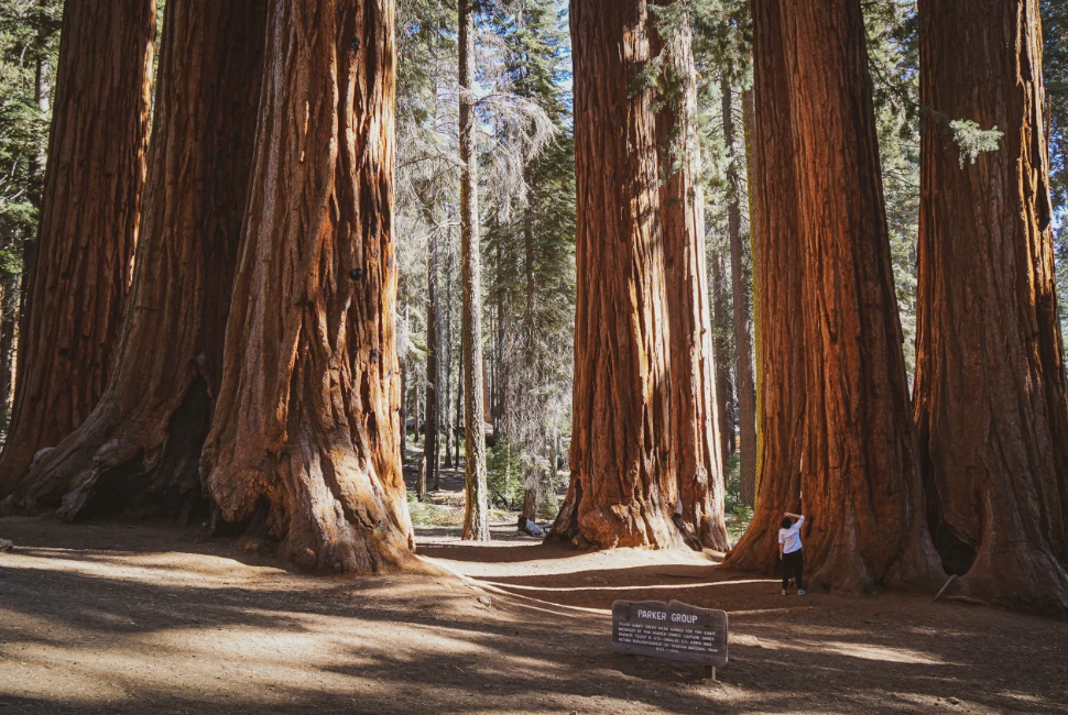 Exploring Mariposa, CA: A Charming Gateway to Natural Beauty