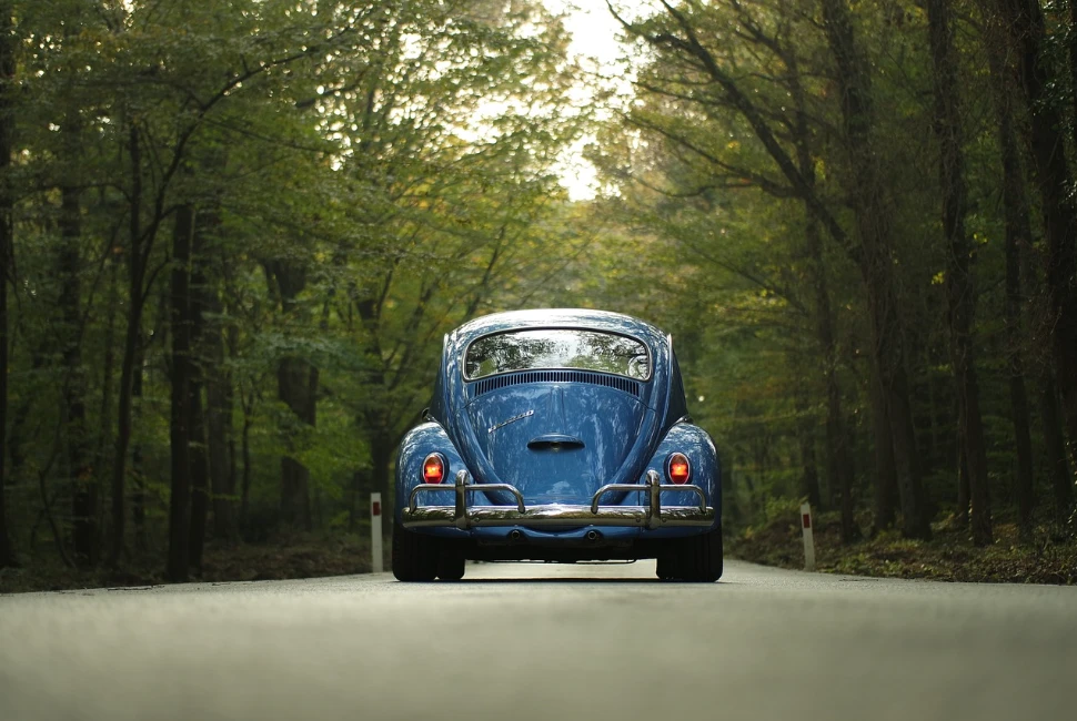 Mariposa, CA Road Trips: Exploring Beyond the Gateway