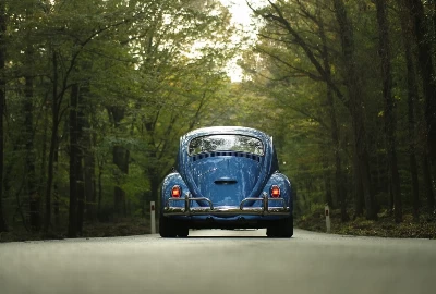 Mariposa, CA Road Trips: Exploring Beyond the Gateway