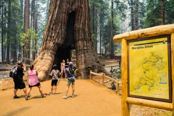 The Yosemite Inn Main image